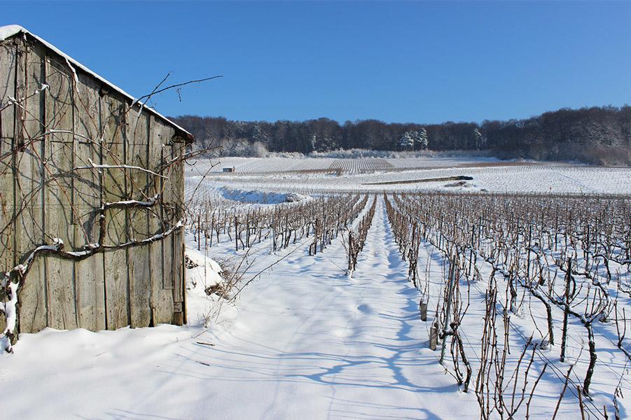 Gite Du " Bas Du Cru " Villa Romery  Exterior foto
